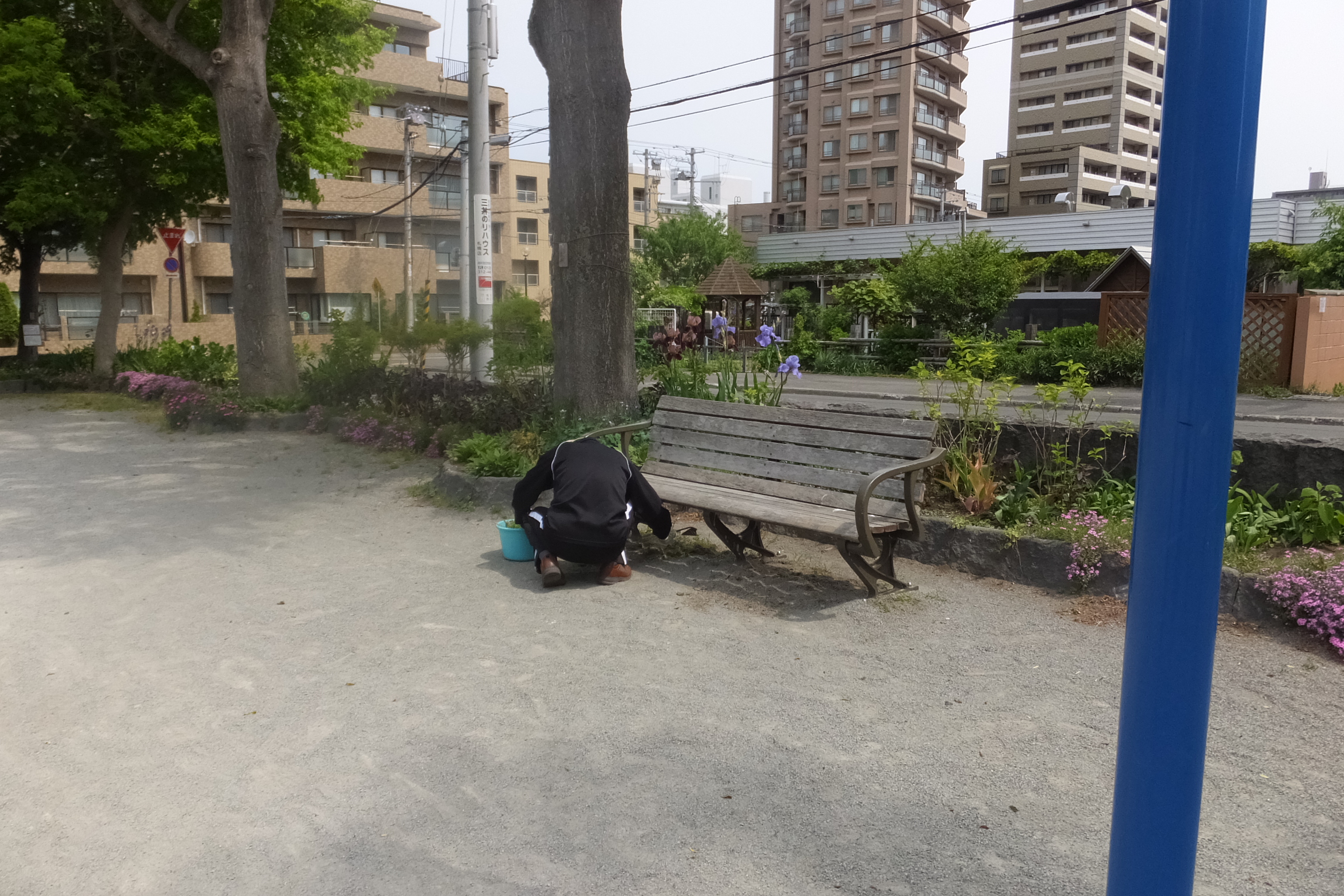  町内会公園清掃（2015.5.30）