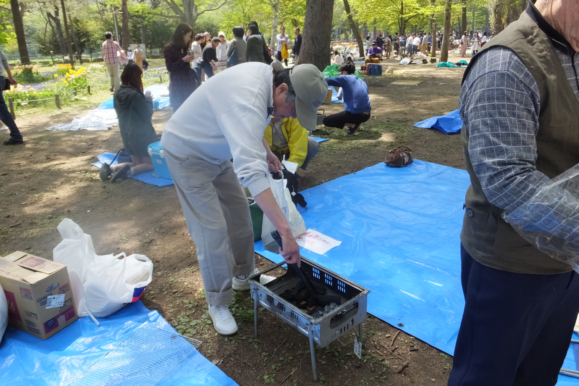 円山公園お花見（2015.5.6）