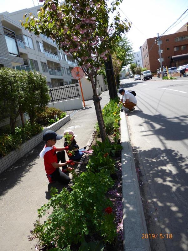 2019.5.18 春の町内会の花植え