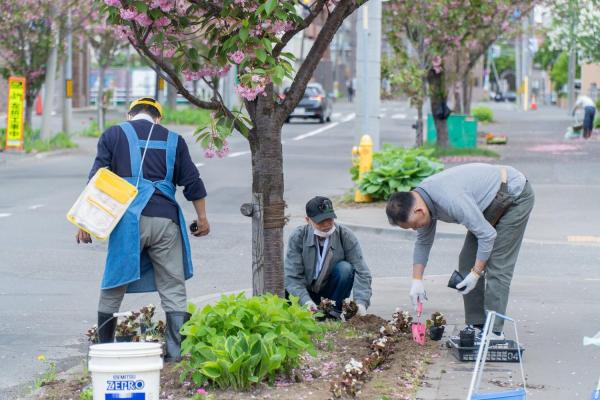 2025.5.18 環境部「春の花植え」
