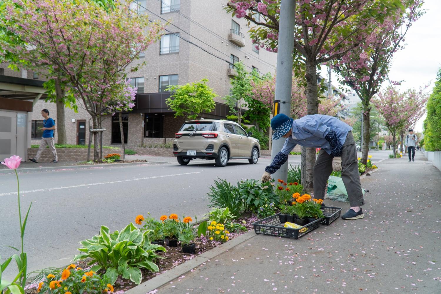 2025.5.18 環境部「春の花植え」