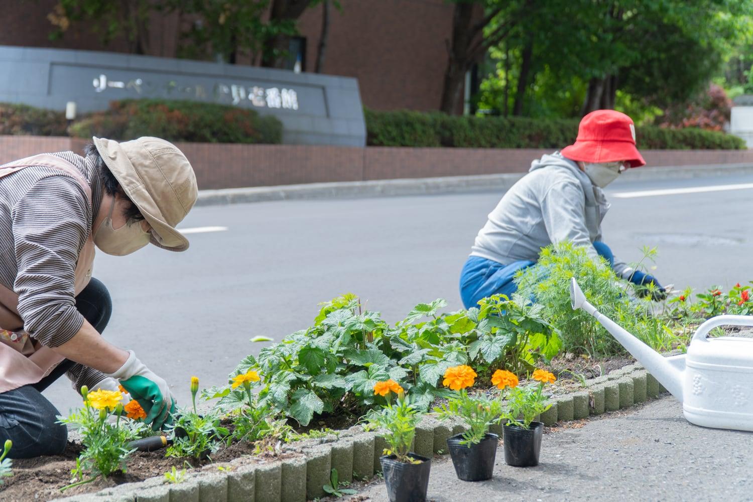 2025.5.18 環境部「春の花植え」