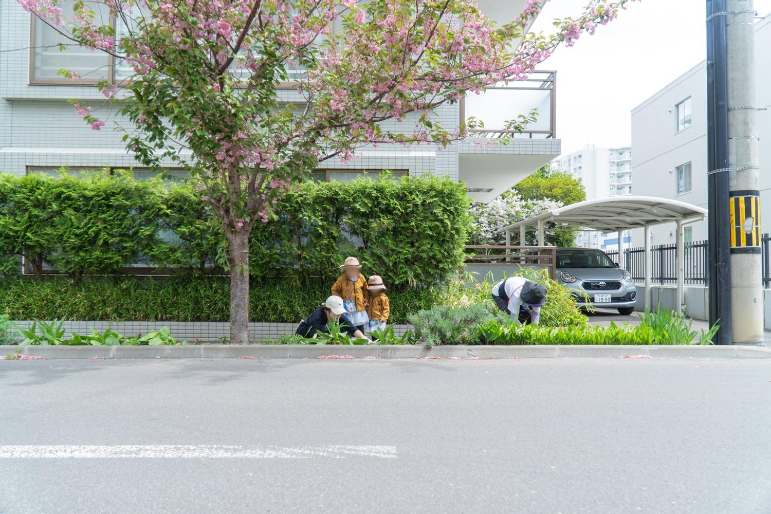 2025.5.18 環境部「春の花植え」