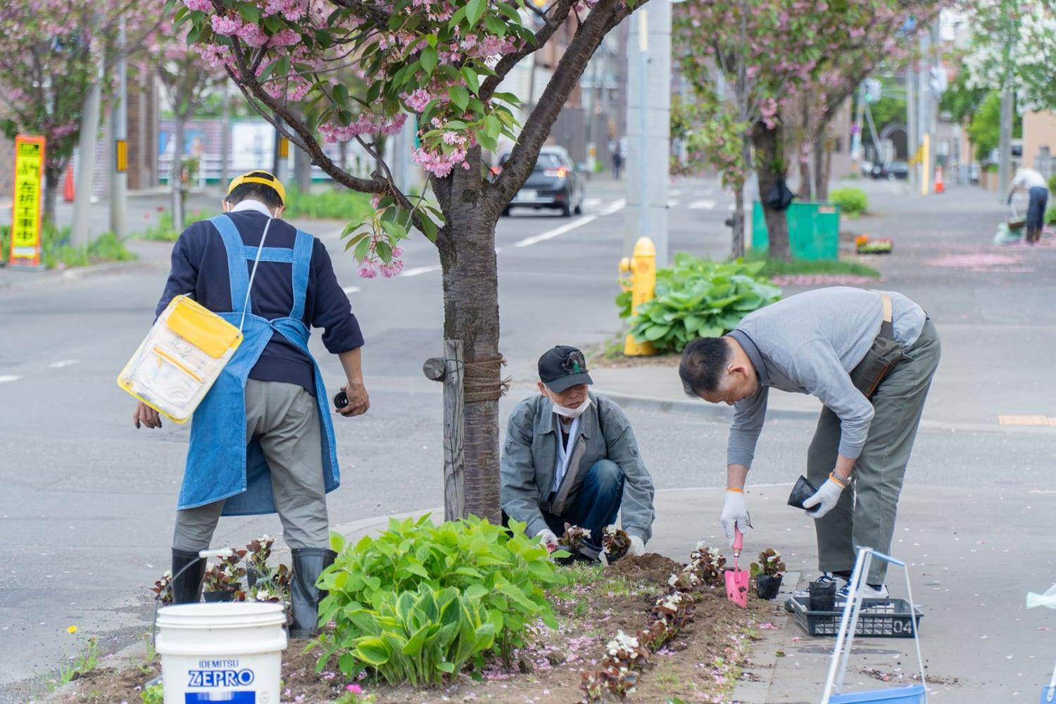 2025.5.18 環境部「春の花植え」